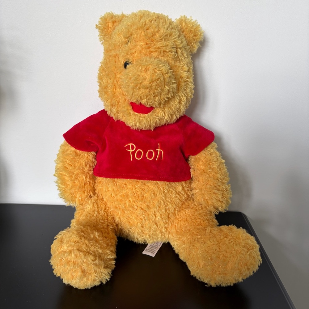 Authentic Disney Parks Disneyland Winnie the Pooh Medium Stuffed Plush Animal
